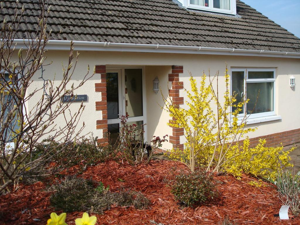 Talybont B&B Aberystwyth Tal-y-bont  Buitenkant foto